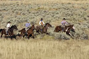 Ranches Prints: Picture No. 10778443