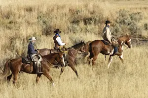 Ranches Prints: Picture No. 10778445