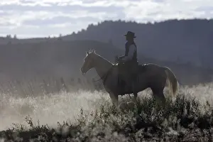 Ranches Prints: Picture No. 10778452