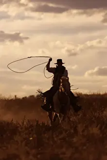 Ranches Prints: Picture No. 10778454