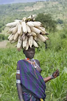 Maize Prints: Picture No. 10780630