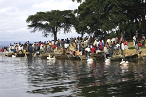 Images Dated 2006 August: 