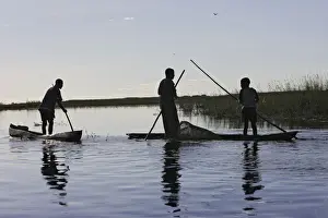 Marshes Prints: Picture No. 10781012