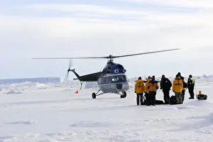 Helicopter Prints: Picture No. 10781159