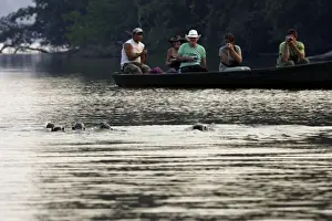 Canoe Prints: Picture No. 10781210