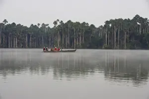 Picture No. 10781297