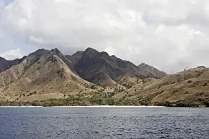 Komodo Prints: Picture No. 10782284