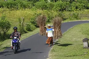 Motorbike Prints: Picture No. 10782345