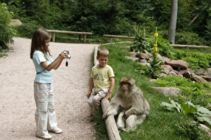 Images Dated 17th July 2007: Picture No. 10783297
