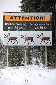 Signs Prints: Picture No. 10784082