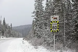Signs Prints: Picture No. 10784083