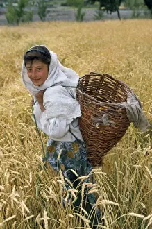 Pakistan Prints: Picture No. 10785525