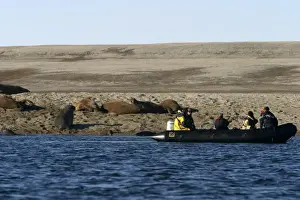 Spitzbergen Prints: Picture No. 10786473