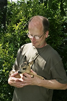 Capreolus Collection: Picture No. 10786860