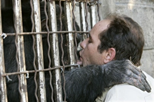 Cage Collection: Picture No. 10787334