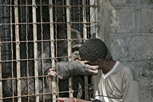 Cage Collection: Picture No. 10787412