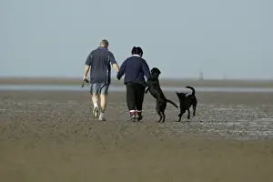 Mudflat Prints: Picture No. 10790798