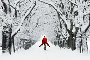 Avenue Prints: Picture No. 10792128