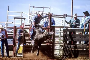Rider Prints: Picture No. 10848269