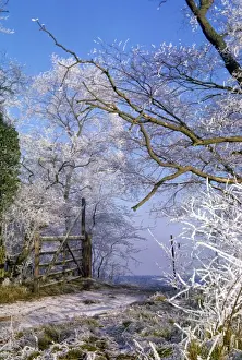 Picture No. 10849036