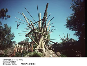2 Collection: Picture No. 10850767