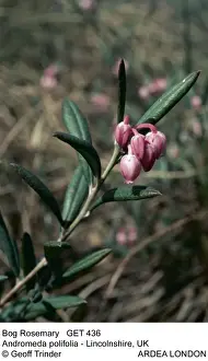 Picture No. 10851253