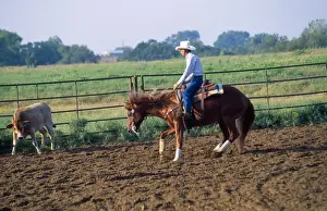 Herding Prints: Picture No. 10851434