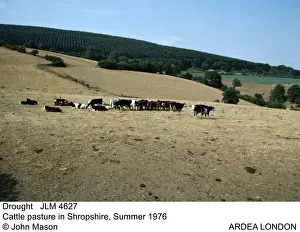 Drought Prints: Picture No. 10851913