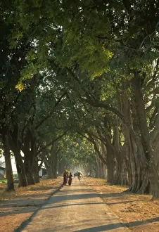Avenue Prints: Picture No. 10852595