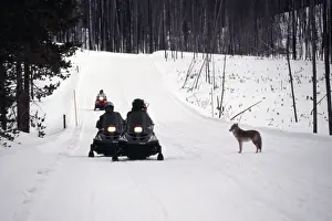Snowmobiles Prints: Picture No. 10852636