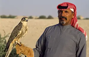 Bedouin Prints: Picture No. 10854019