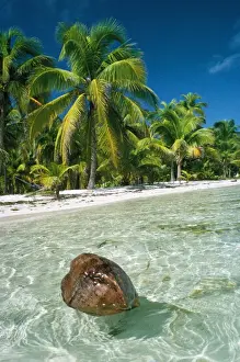 Earth Prints: Picture No. 10854566