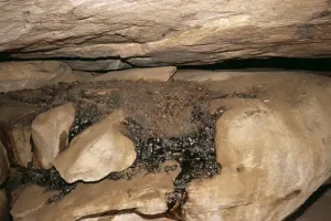 Caves Prints: Picture No. 10855134