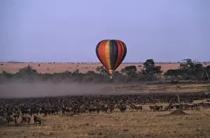 Balloons Prints: Picture No. 10856531