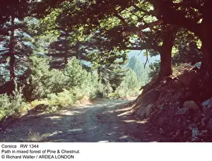 Picture No. 10858269