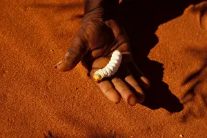 Aborigines Prints: Picture No. 10859981