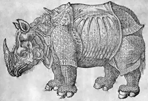 Illustrations Prints: Picture No. 10860987