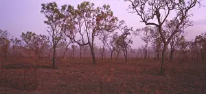 Kakadu Prints: Picture No. 10861515