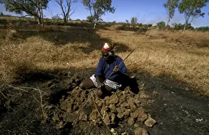 Aboriginal Prints: Picture No. 10861522