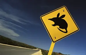 Road Prints: Picture No. 10861532