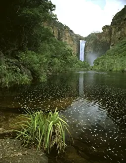 Kakadu Prints: Picture No. 10861561