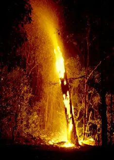 Picture No. 10862672