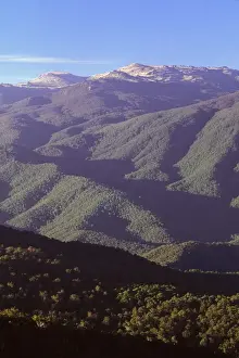 Kosciuszko Prints: Picture No. 10863033