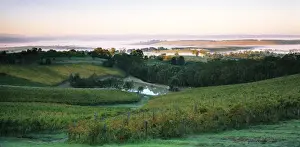 Winery Prints: Picture No. 10863181