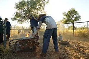 Picture No. 10863202