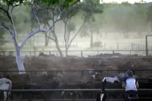 Separating Prints: Picture No. 10863283