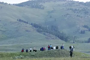 Yellowstone Prints: Picture No. 10863636