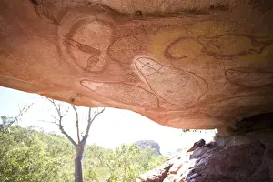 Aboriginal Prints: Picture No. 10864329