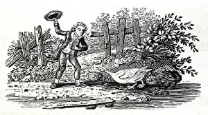 Picture No. 10864944