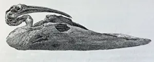 Picture No. 10864966